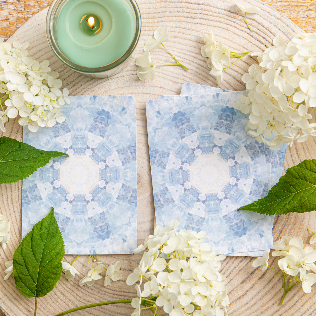 Guidance professionnelle/financière