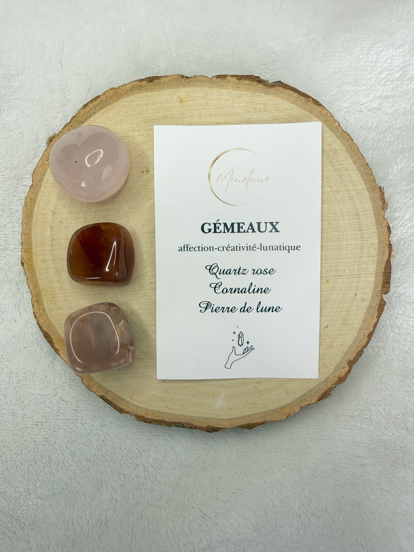 Pochon signe astrologique Gémeaux
