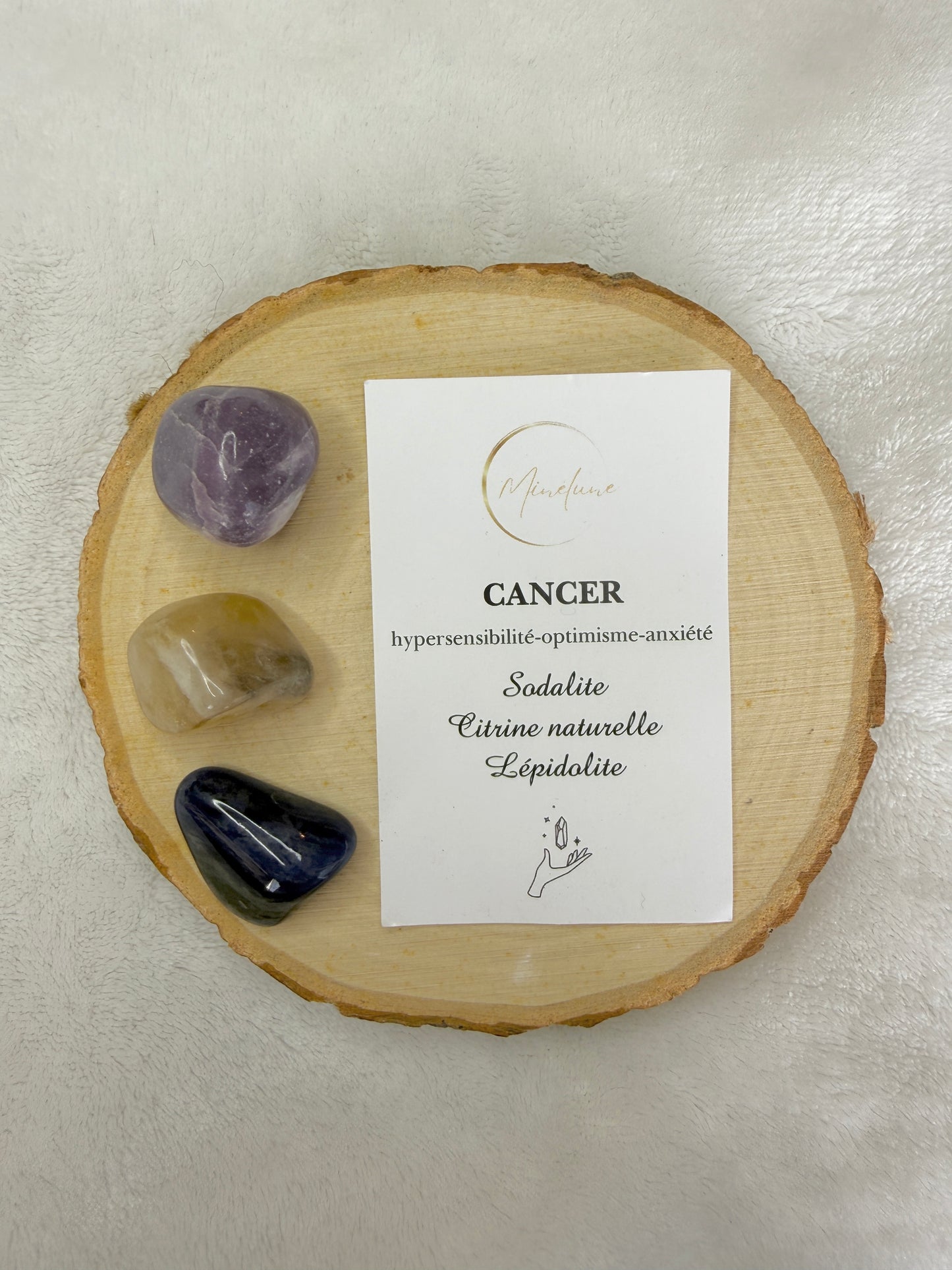 Pochon signe astrologique Cancer