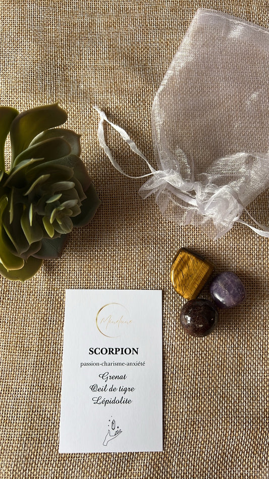 Pochon signe astrologique Scorpion