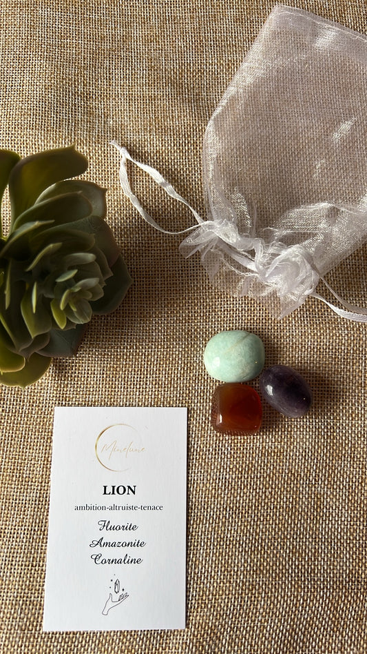 Pochon signe astrologique Lion