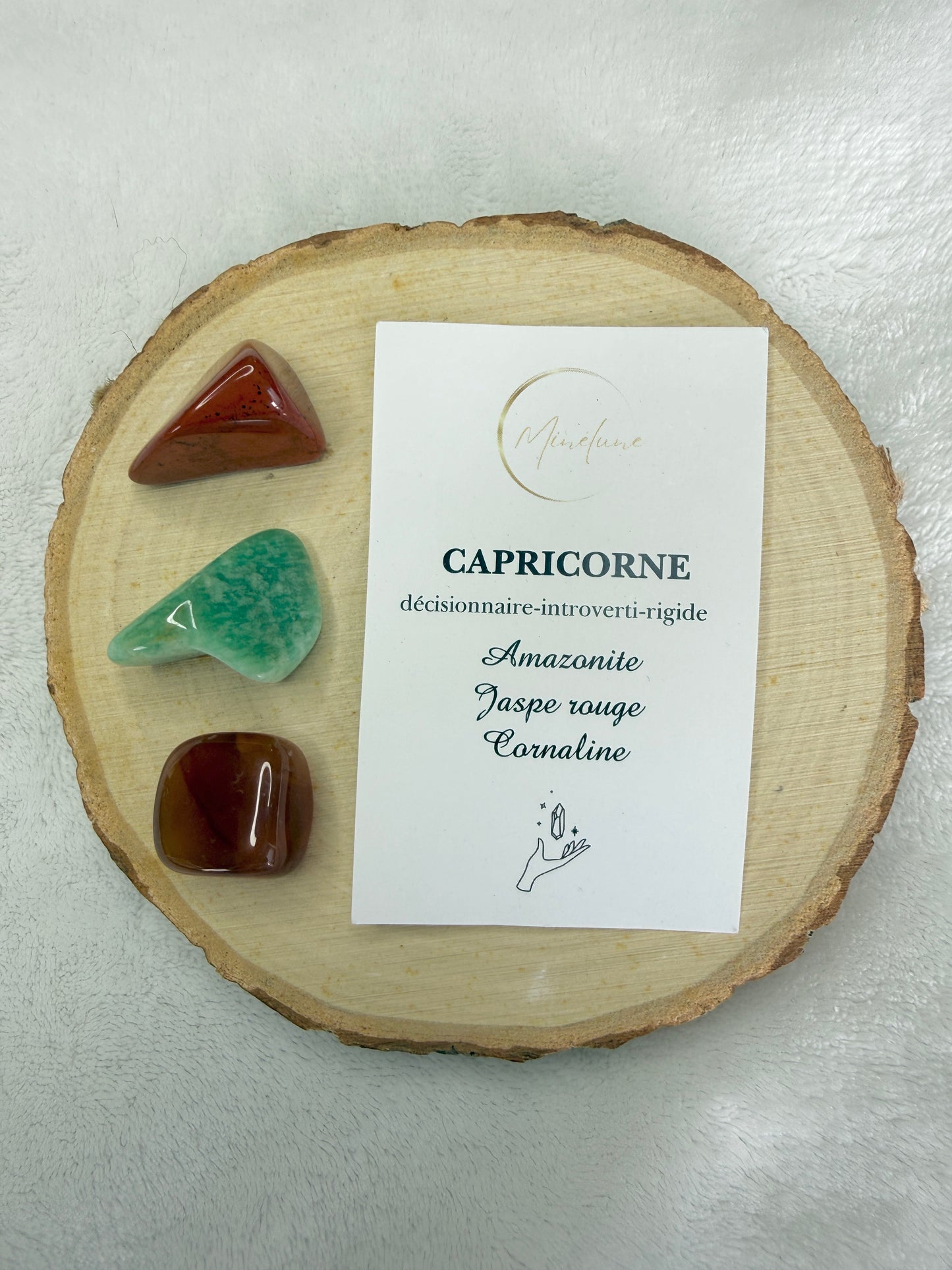 Pochon signe astrologique Capricorne