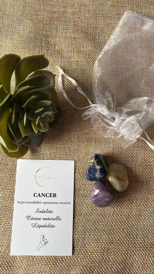 Pochon signe astrologique Cancer