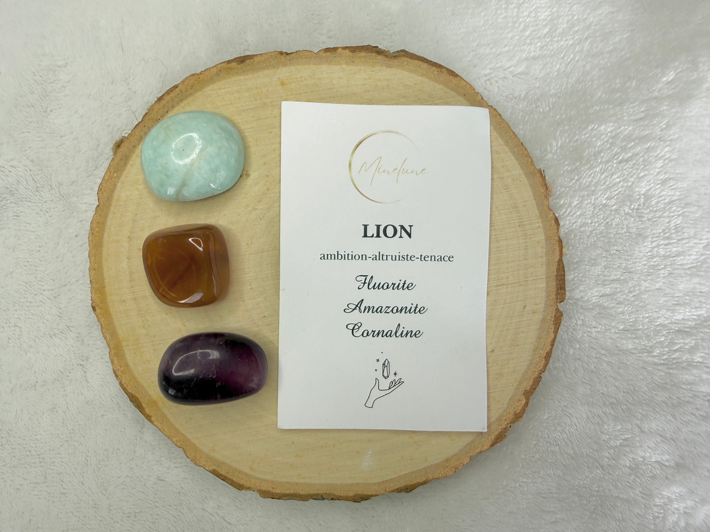 Pochon signe astrologique Lion