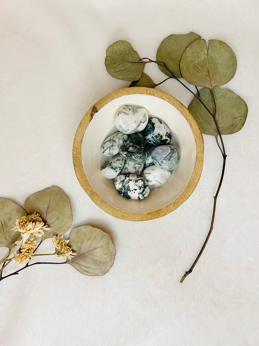 Pierre roulée en agate arbre