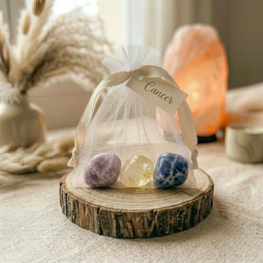 Pochon signe astrologique Cancer